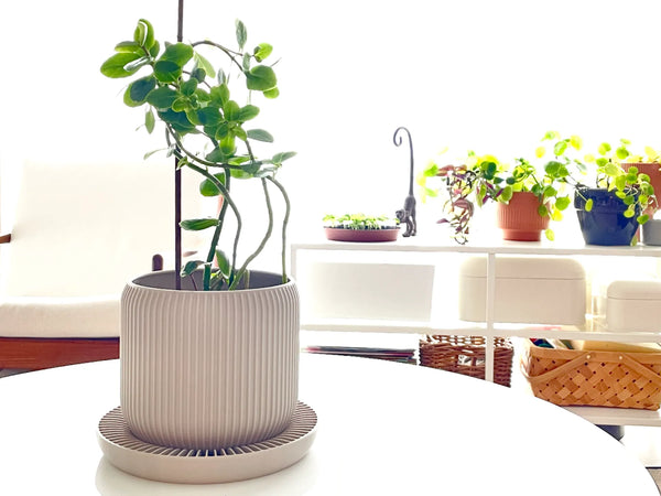 Modern Ribbed Self-Watering Planter with Drainage Plate – Minimalist Indoor Plant Pot for Home & Office Decor | Framora