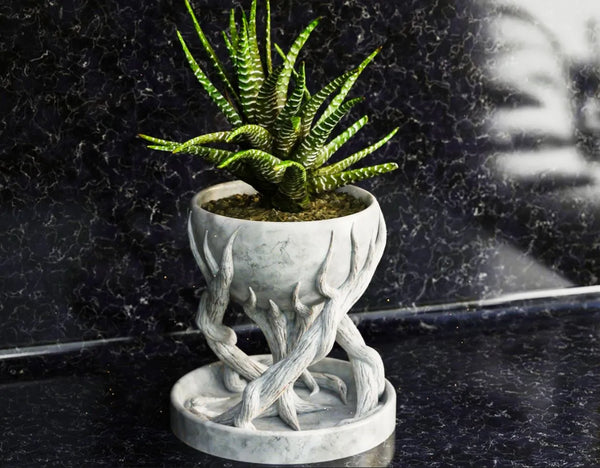 Tree Root Indoor Planter – Nature-Inspired Decorative Pot | Framora