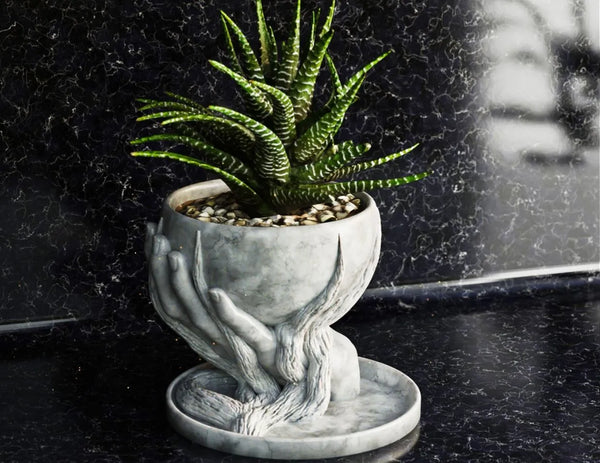 Hand Holding Marble Planter – Artistic Indoor Pot for Desks & Shelves | Framora